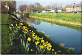 River Welland, Spalding. in PE11 2TE