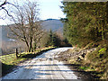 Road into Hafren Forest in SY18 6PS