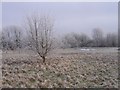 Field in Winter in IP20 0BL