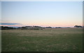 Fields near West Craig in DD8 1XU
