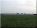 Field South from Edgarley Field Lane in BA6 8FH