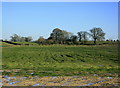 2009 : East from Sandridge Lane in SN15 2JW