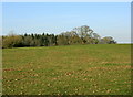 2009  : North from the A3102 near Westbrook in SN15 2EF