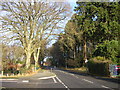 School Hill, Crowthorne in RG45 7JL