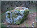 The Rocking Stane in PH10 7LH