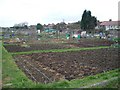 Hainault Allotments in IG6 2UU