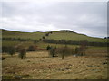 Lan Fawr hill from the SE in SY15 6DQ