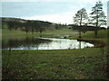 Pitlour pond in KY14 7PT