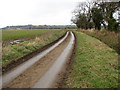 A narrow country lane in NR28 0PY