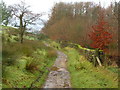 Bridleway West of Greengore in Aighton, Bailey and Chaigley