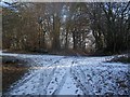 Footpath junction in Pastead Wood in ME2 1JQ