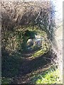 Green Tunnel on footpath in ME2 1JQ