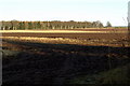Farmland culminating in Woodland near Egno Moss in DD8 5HF