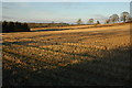 Stubble field near Kiddington in OX20 1BY