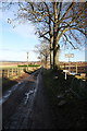 Road to Balgownie in DD8 1SF