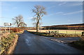 Road junction near Hatton of Eassie in DD8 1SF