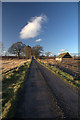 Track to Langlogie in PH12 8QT