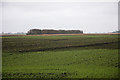 Farmland near Welney in PE14 9TB