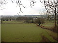 Farmland near Graigfechan in Llanfair Dyffryn Clwyd Community