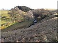 Valley of the Hopeshield Burn in NE48 3ET