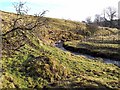 Meander on the Hopeshield Burn in NE48 3ET