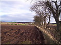 Field, Trees and Caldcots Farm in DD9 7PP
