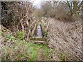 Footbridge over River Lavant in PO19 8QT