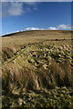 Ruined sheep fanks on Strone Hill in DD8 5JA