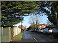 Looking northwards up Park Road in PO7 6FW