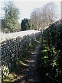 Footpath running past St Mary and All Saints, Droxford in Droxford