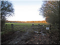 Field Gate near Horns Lodge in TN11 9NS