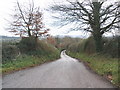 Road south, from Red Cross in EX5 4DD
