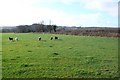 Pasture land near Litton cheney in DT2 9DH