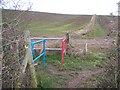 Coloured Gates at footpath junction in ME10 4UW