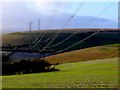 Powerlines near Stancombe Farm in DT2 9EG