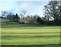 2009 : Pasture land off Mill Lane in BA11 5LR