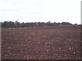 Fields and Woodland in DD9 7QL
