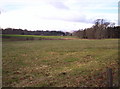 Fields, Woodland and Balnamoon Farm in the Background in DD9 7RH