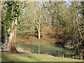 Pond, Ashfield Grange in IP31 3HB