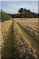 Farm track, Herringswell in IP28 8ZR
