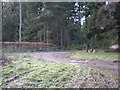 Track junction near Blackhall in AB31 6PS
