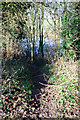 Muddy Path to the Trent in NG11 8AR