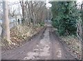 Access track to St Mary's playing fields in CB2 9BX