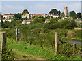 Langport  from the Parrett riverbank in TA10 9HE