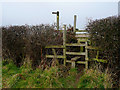 Staffordshire Way stiles near Trescott, Staffordshire in WV4 4XH