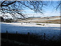 A wintry scene near Cambridge in Berwickshire in TD2 6SQ