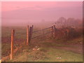 Field gate near Brook Farm,Abridge in RM4 1ST