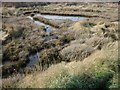 Brackish Pool in West Thorney