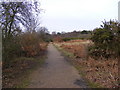 Footpath/Cycleway Martlesham Heath in Martlesham