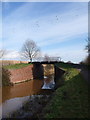 Creech St. Michael: footbridge over the canal in Creech St Michael
